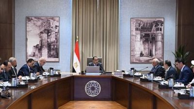 مدبولي يؤكد ضرورة استمرار صرف التعويضات للمستحقين بجزيرة الوراق
