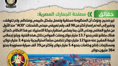 الحكومة تنفى توقف منظومة التسجيل المسبق للشحنات 
