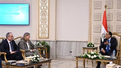 رئيس الوزراء يلتقي الرئيس التنفيذي لشركة 