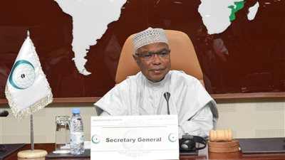 أمين عام منظمة التعاون الإسلامي يدعو إلى وقف فوري لإطلاق النار في غزة