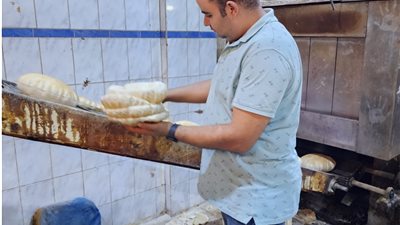 محافظ كفرالشيخ: تحرير 9 محاضر تموينية بدسوق