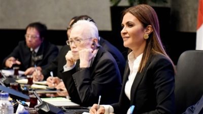 شركات يابانية: مناخ الاستثمار في مصر يشجعنا على التوسع