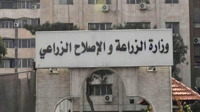 وزارة الزراعة: تحصين أكثر من 2.7 مليون رأس ماشية ضد مرض الحمي القلاعية