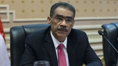 ضياء رشوان: بناء مفهوم أفريقي لحقوق الانسان في مواجهة حملات التحريض