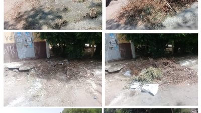 رئيس جهاز تنمية مدينة 6 أكتوبر: رفع المخلفات بمناطق السياحية الرابعة والسادسة