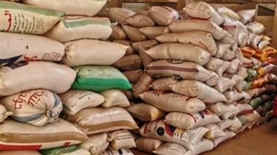 توريد ٦١٤٤٢١ طن ذهب اصفر لشون وصوامع الشرقية