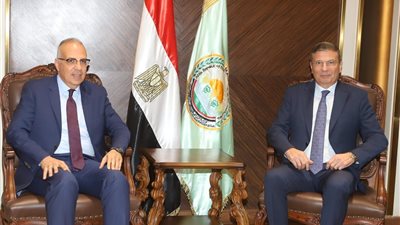 وزيرا الزراعة والري يبحثان دعم المزارعين لتحقيق الأمن الغذائي
