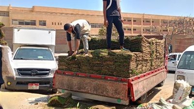 جهاز الشيخ زايد يكشف عن أحدث أعمال الزراعة داخل الأحياء.. بالصور