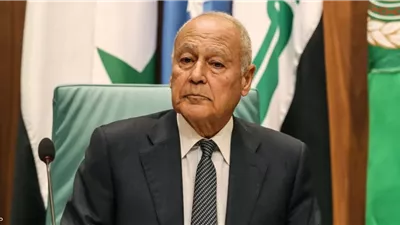 أبو الغيط يحث الحكومة اليابانية على تشجيع الشركات لتوسيع عملها بالمنطقة العربية