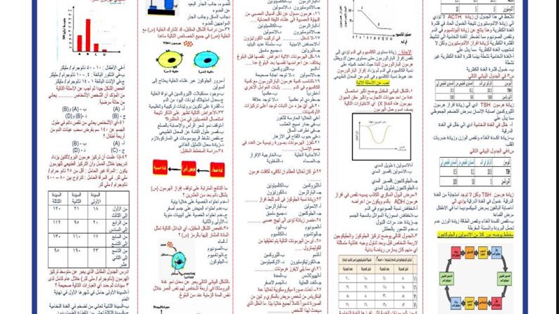 مراجعة ليلة الامتحان