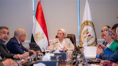 د.ياسمين فؤاد: 271 مليون يورو لدعم الصناعة الخضراء