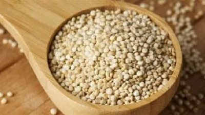 كل ما تريد معرفته عن 