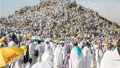الصلاة تجوز بالملابس التي مسها لعاب الكلب