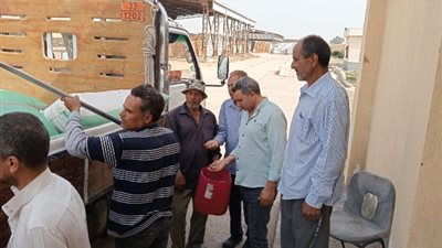 فى اليوم الـ87 توريد 229502 طن قمح بالبحيرة