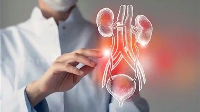 أعراض التهاب المسالك البولية لدى النساء وكيفية الوقايه منه