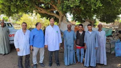 بيطري المنيا يدشن الحملة القومية للتحصين ضد الحمى القلاعية