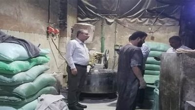 محافظ كفرالشيخ: تحرير 12 محضرًا تموينيًا في حملات المخابز بفوه