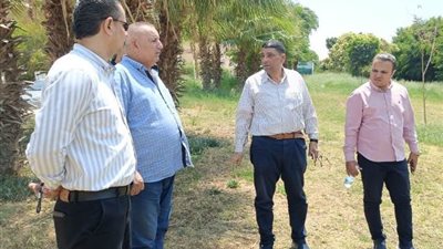 جهاز الشروق يعلن عن أهم أعمال الزراعة والصيانة للمسطحات الخضراء.. صور