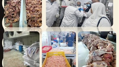 ضبط 430 من اللحوم والأسماك مجهولة المصدر ومنتهية الصلاحية بالشرقية