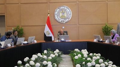 وزير الكهرباء يتابع أعمال تنفيذ خط الربط المصرى السعودى