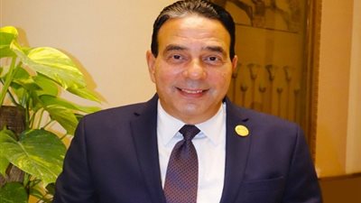 النائب أيمن أبوالعلا: الحلول المقدمة للمشكلات الاقتصادية طويلة الأجل.. وبعض الأمور تحتاج خططا قصيرة المدة