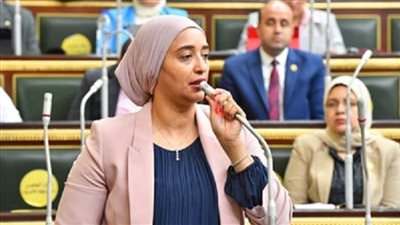 تعديل تشريعي لمعاقبة شركات التطوير العقاري الحاصلة علي بيانات المواطنين دون موافقتهم