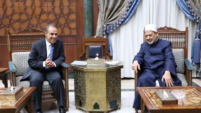 وزير الخارجية: سفاراتنا في الخارج مُسخَّرة لخدمة الأزهر ونشر رسالته