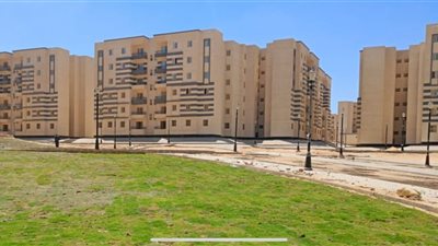بدء زراعة مواقع المرحلة الخامسة بسكن لكل المصريين بأكتوبر الجديدة