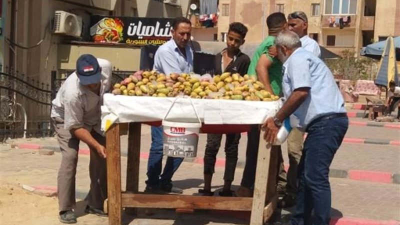 بوابة الجمهورية