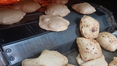تحرير 164 محضر ومخالفة متنوعة خلال حملات على المخابز بالقليوبية