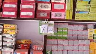 تنفيذ ١٩ ألفا و٢٥٧ مشروعا لشباب الشرقية بـ٣ مليار و٢٤٧ مليون جنيه
