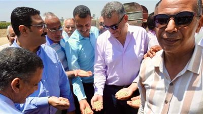 حصاد احد الحقول التعاقدية ضمن مبادرة ازرع بالمنيا