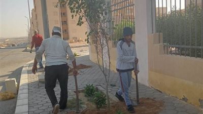 رئيس جهاز بدر يعلن عن أحدث عمليات الزراعة أمام أهم المنشآت.. صور