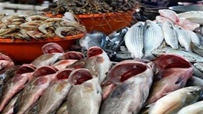 أسعار السمك اليوم الأحد 28-7-2024