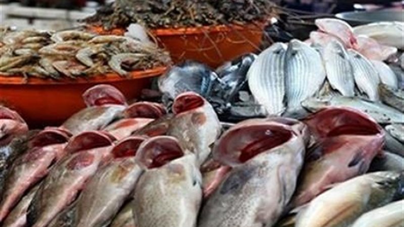 اسعار السمك اليوم