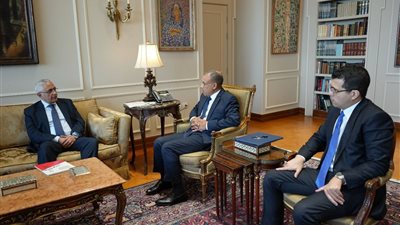 وزير الخارجية: أمن ليبيا جزء لا يتجزأ من الأمن القومي المصري