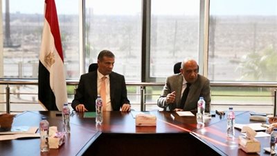 الكهرباء: طرح مبادرة خلية شمسية لكل مزرعة دواجن بالتعاون مع الزراعة
