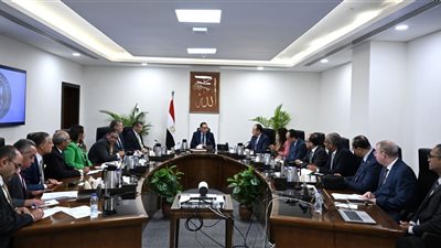 رئيس الوزراء: زيادة إنتاج الأسمدة بعد استئناف عمل المصانع