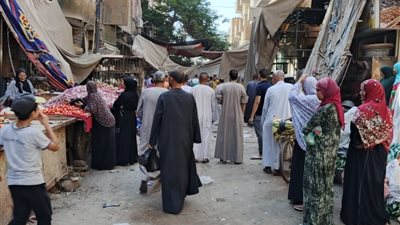 محافظ أسيوط: إستمرار حملات إزالة اشغالات وتعديات الباعة الجائلين