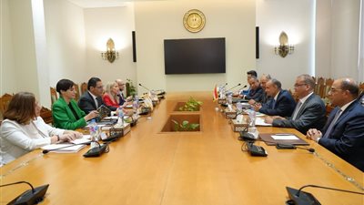 وزير الخارجية يؤكد حرص مصر على تعزيز العلاقات مع قبرص