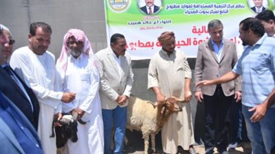وزير الزراعة ومحافظ مطروح يوزعان 50 الف شتلة زيتون و 120 كبش