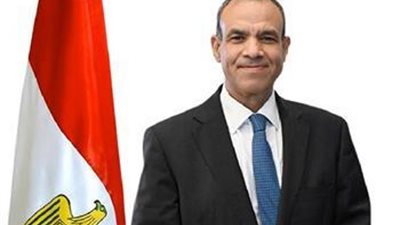 مباحثات مصرية لبنانية غدا بالقاهرة على مستوى وزيري الخارجية