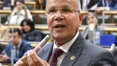 نائب يطالب الحكومة بسرعة التصدي لأزمة الأسمدة