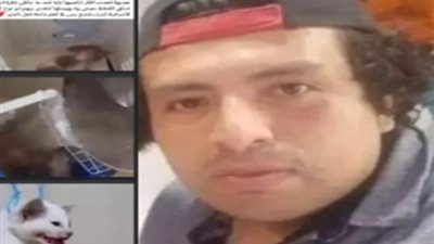 القبض على سفاح القطط بالإسكندرية