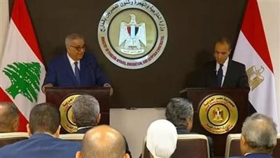 وزير الخارجية يحذر من خطورة انزلاق المنطقة إلى حرب إقليمية شاملة