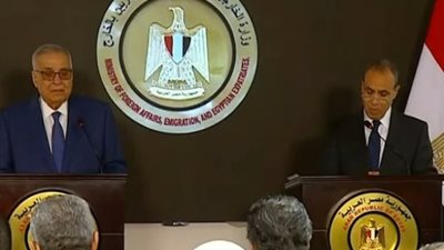 وزير الخارجية يثمّن زيارة نظيره اللبناني إلى مصر