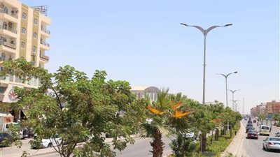جهاز 6 أكتوبر :زراعة الأشجار للحد من ارتفاع الحرارة على الطرق وامتصاص الغازات السامة