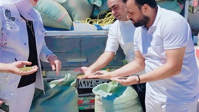 تموين مطروح تضبط 2 طن فلفل وكمون مغشوش