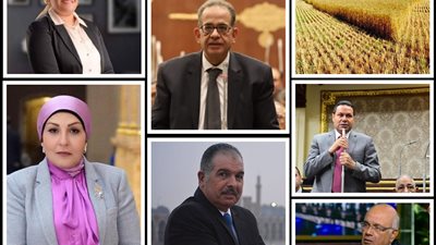 قيادات وأعضاء البرلمان: توفير الأمن الغذائي يحقق انضباط الأسواق ويقلل فاتورة الاستيراد
