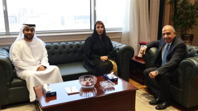 الكهرباء: إجراءات لدعم مشاركة القطاع الخاص في مشروعات الطاقة المتجددة